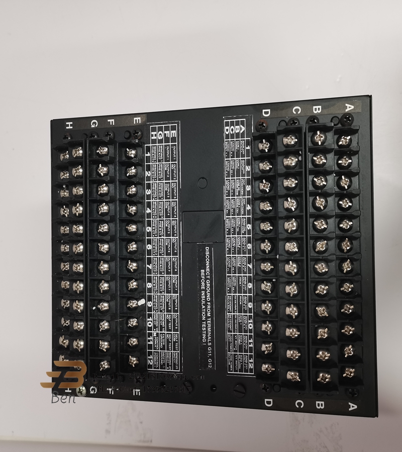 IS200TSVCH2ADC MRP061873 Digital control module - xiongba automation
